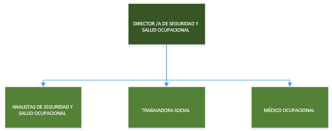 DSSO Organigrama